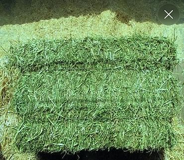 Беде пресс сатылат Арзан баада