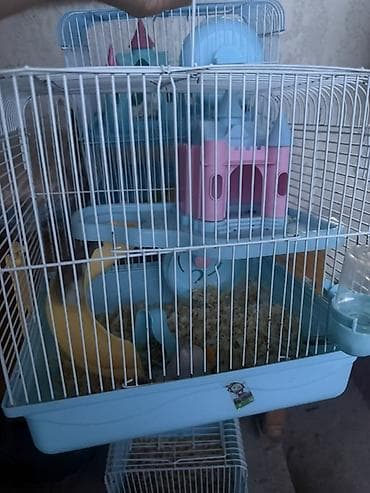 клетки для хомиков: Клетка для хомяка с игровым комплексом С хомячком - Двухуровневая — 3