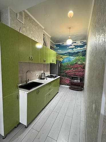 105: 2 комнаты, 53 м², Бишкек Парк ТРЦ Элитка, 13 этаж, Евроремонт — 4