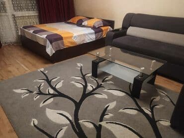 1 бөлмө, Душ кабинасы, Кондиционер, Тиричилик техникасы