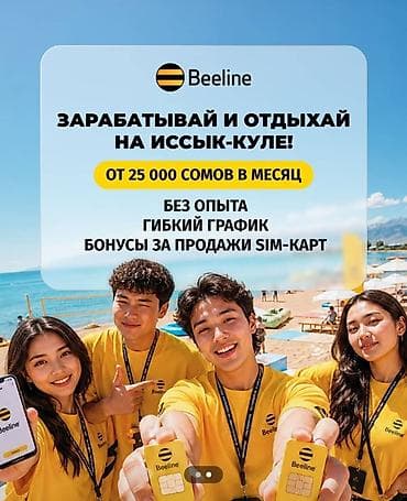 Вакансия от Beeline: заработок и отдых на Иссык-Куле - Доход: от 25