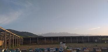 поставщики цветов бишкек: Продаётся советская бетонные балка и стояк. Около 30 штука есть — 3