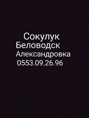 столь бу: Штукатурка стен Больше 6 лет опыта — 1
