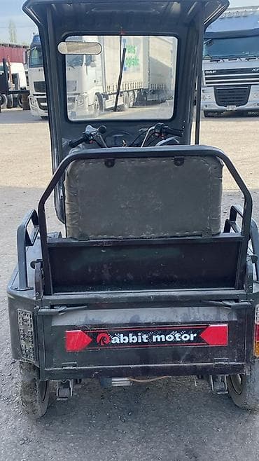 Электрический трёхколёсный скутер-пассажирский Rabbit Motor -