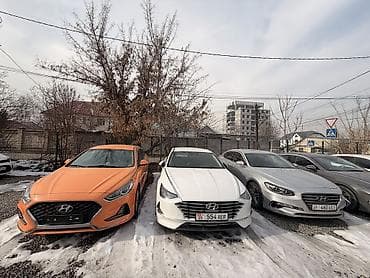 Hyundai Sonata: 2019 г., 2 л, Автомат, Газ, Седан