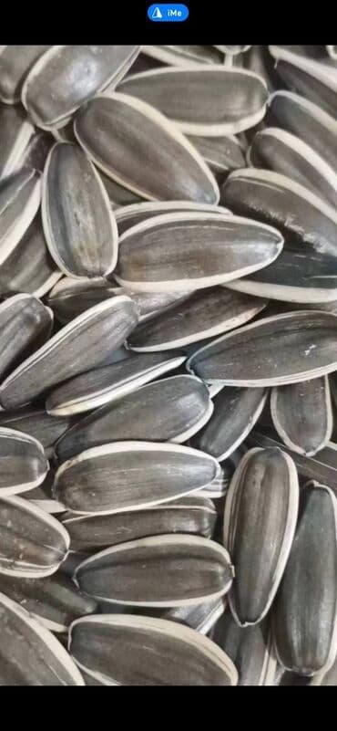 бу мебель бишкек: Семичка куункарама — 1