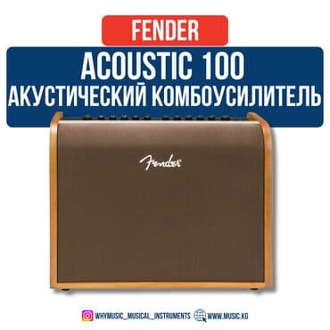 усилитель для электрогитары: Акустический комбоусилитель Fender Acoustic 100 Идеальный усилитель — 1