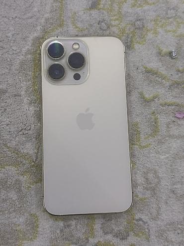 IPhone 13 Pro, Серебристый, 79 %