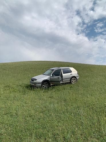 машина на вариант: Volkswagen Golf: 1992 г., 1.6 л, Механика, Бензин, Хэтчбэк — 2