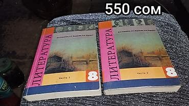 Китептер жана журналдар: Орус тили, 3-класс, Колдонулган — 6