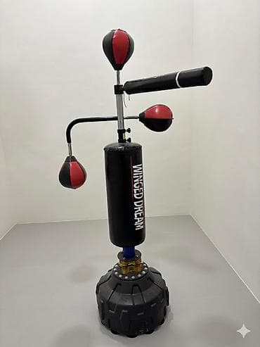 Спорттук сумкалар: Тренировочный комплекс для бокса/кикбоксинга Winged Dream — 1