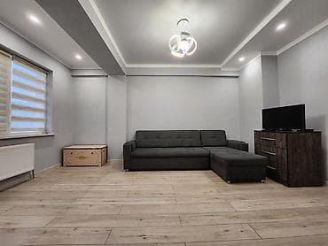 сму: 1 комната, 42 м² — 4