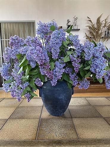 metta samurai: Декоративная ваза-амфорa в этническом стиле - Материал: керамика с — 4