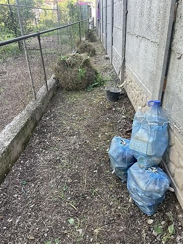 уборка участков: Уборка территории, Уборка двора и сада — 1