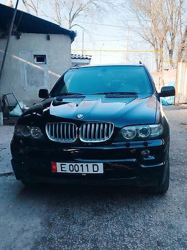 BMW X5: 2004 г., 3 л, Автомат, Дизель, Внедорожник