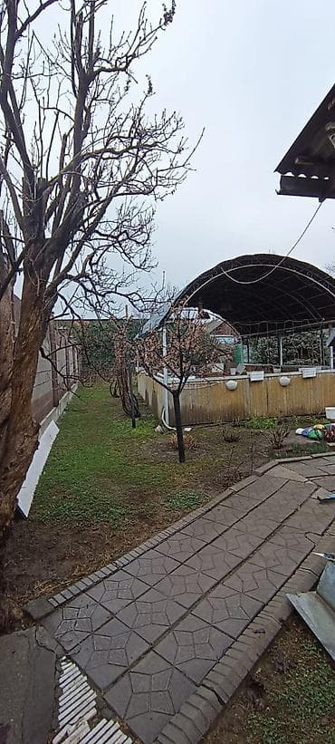 сасновка уй: 4 соток, Для бизнеса — 2