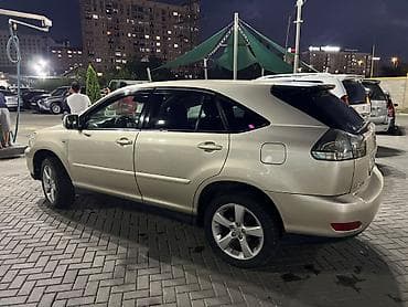 хорошему клиенту: Lexus RX: 2004 г., 3 л, Автомат, Бензин, Кроссовер — 9