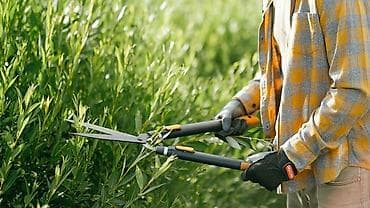 финка банк: Услуги садовника (девушка) в Бишкеке 🌿 🔹 Стрижка и подкормка газона 🔹 — 1