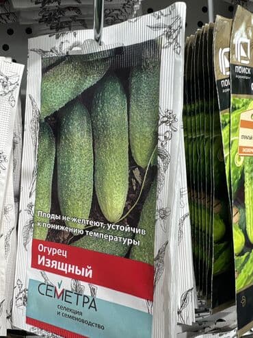 картофель семена: Уруктар жашылчалардын: Сабиз, Бадыраңдар, Капуста, Өзү алып кетүү, Акылуу жеткирүү — 6