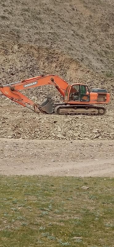 доминатор фреза: Экскаватор, Doosan, 2012 г., Гусеничный — 2
