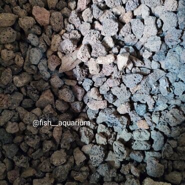 Собаки: Аквариумные пески. Грунты для аквариума. Большой выбор. Качественные — 14