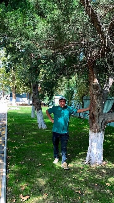 газон некс: Уборка территории, Уборка двора и сада — 3