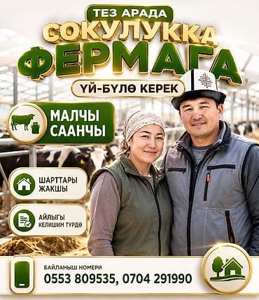 Требуется Скотник, Оплата: Сдельная at lalafo.kg Требуется Скотник, Оплата: Сдельная