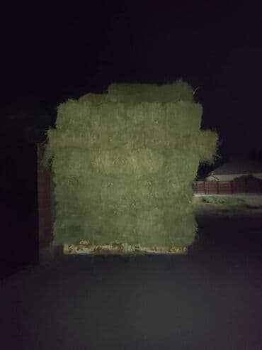 продаю авто с последующим выкупом: Грузовик, Mercedes-Benz, Стандарт, 3 т, Б/у — 3