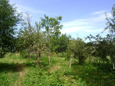 пол дома пишпек: Дом, 200 м², 10 комнат, Собственник — 4