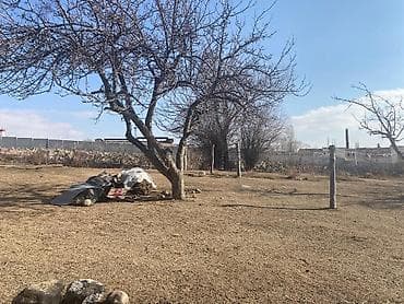 Продажа домов: Зелёный книга живи сам сейчас — 1