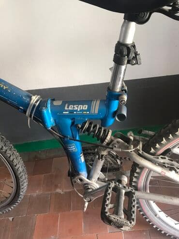купить велосипед с большими шинами: Горный велосипед, Lespo, Рама M (156 - 178 см), Сталь, Б/у — 5