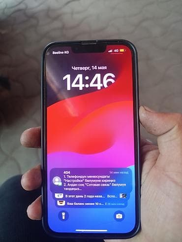 IPhone 13 Pro, 256 ГБ, Чехол