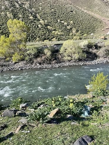 Всем привет друзья)) Я из южной столицы Хобби рыбалка Если кому