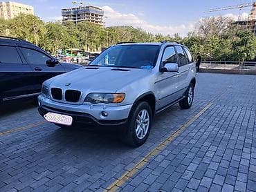BMW X5: 2003 г., 3 л, Автомат, Бензин, Внедорожник