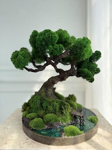 дерево бансай: Мини-дерево Бонсай из натурального стабилизированного мха 🌿 — 1