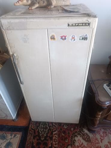 советский холодильник орск: Холодильник Biryusa, Однокамерный — 1