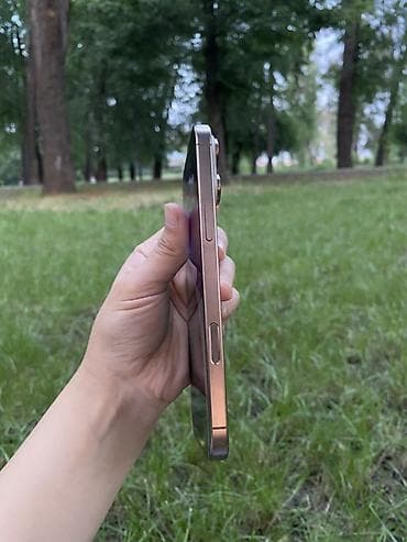 apple whatch se: IPhone 16 Pro Max, 256 ГБ, Золотой, 90 % — 6