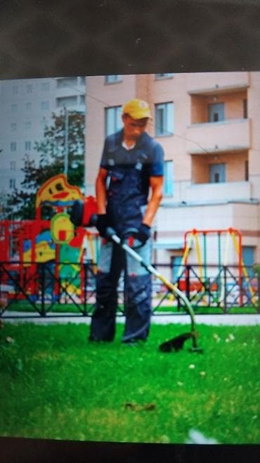укос травы: Покос травы.24/7 — 2