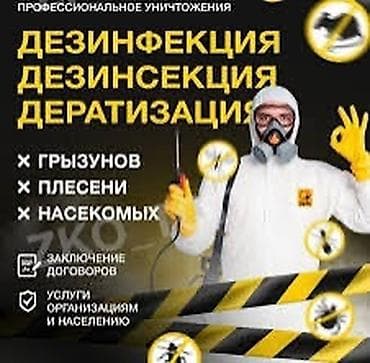 Дезинфекция, дезинсекция, | Блохи, Вирусы, микробы, Клопы, | Дома, Кафе, магазины, Дворы