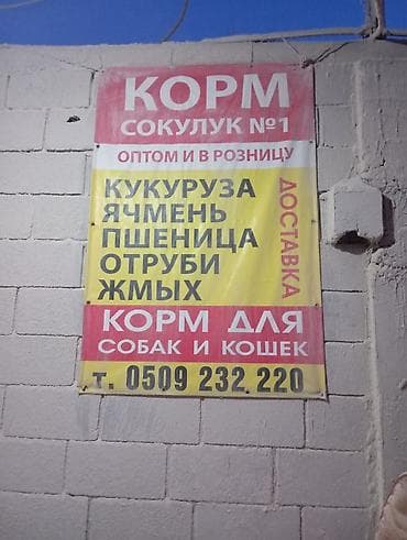 хлеб для корма: Кукуруза 🌽🌽🌽 — 4