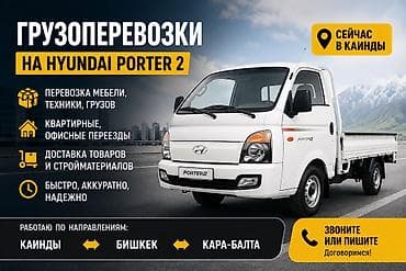 сейф каракол: Буйрутма берүү Хендай портер — 1