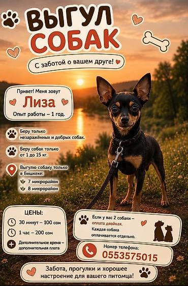 прогулка собак: Выгул собак — с заботой о вашем друге! - Исполнитель: Лиза, опыт — 1