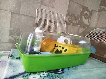 3д сетки: Клетка . террариум . в отличном состоянии размеры : длина 53 ширина — 2