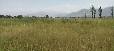 недостроенный дом: 6 соток, Для строительства, Красная книга — 4