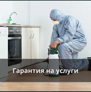 подъезд: Профессиональная дезинсекция помещений - Уничтожение домашних — 5