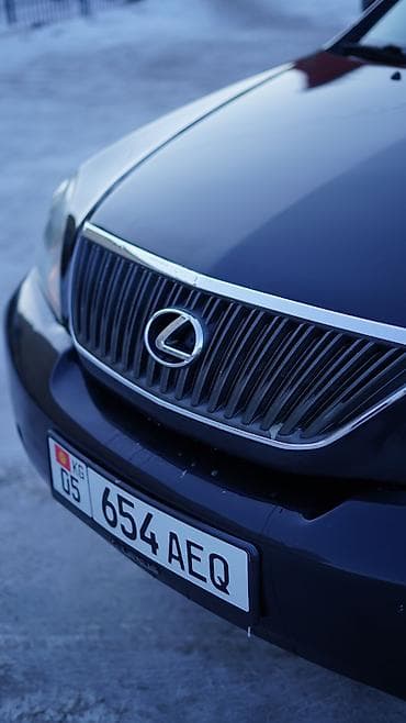 puma mercedes: Lexus RX: 2003 г., 3.3 л, Автомат, Газ, Универсал — 6