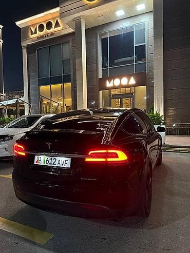 Tesla: Tesla Model X: 2020 г., 0.1 л, Автомат, Электромобиль, Кроссовер — 8