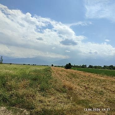 Кыймылсыз мүлк: 688 соток, Айыл чарба үчүн, Кызыл китеп — 2