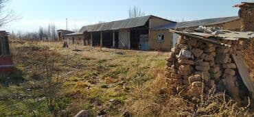 дом в красная речка: 65 соток, Бизнес үчүн, Кызыл китеп — 5