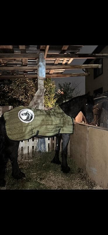 Кошки: Тёплая попона для лошади + капор/нашейник (комплект) - Тип: стеганая — 3